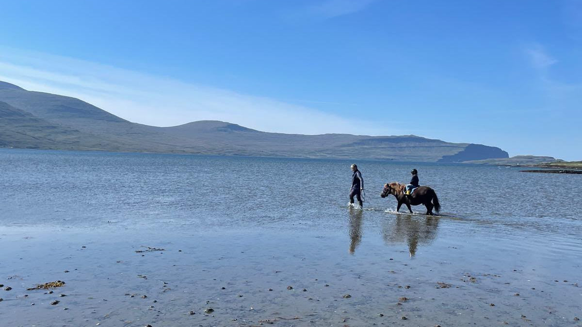 Post cards from Harth: Isle of Mull