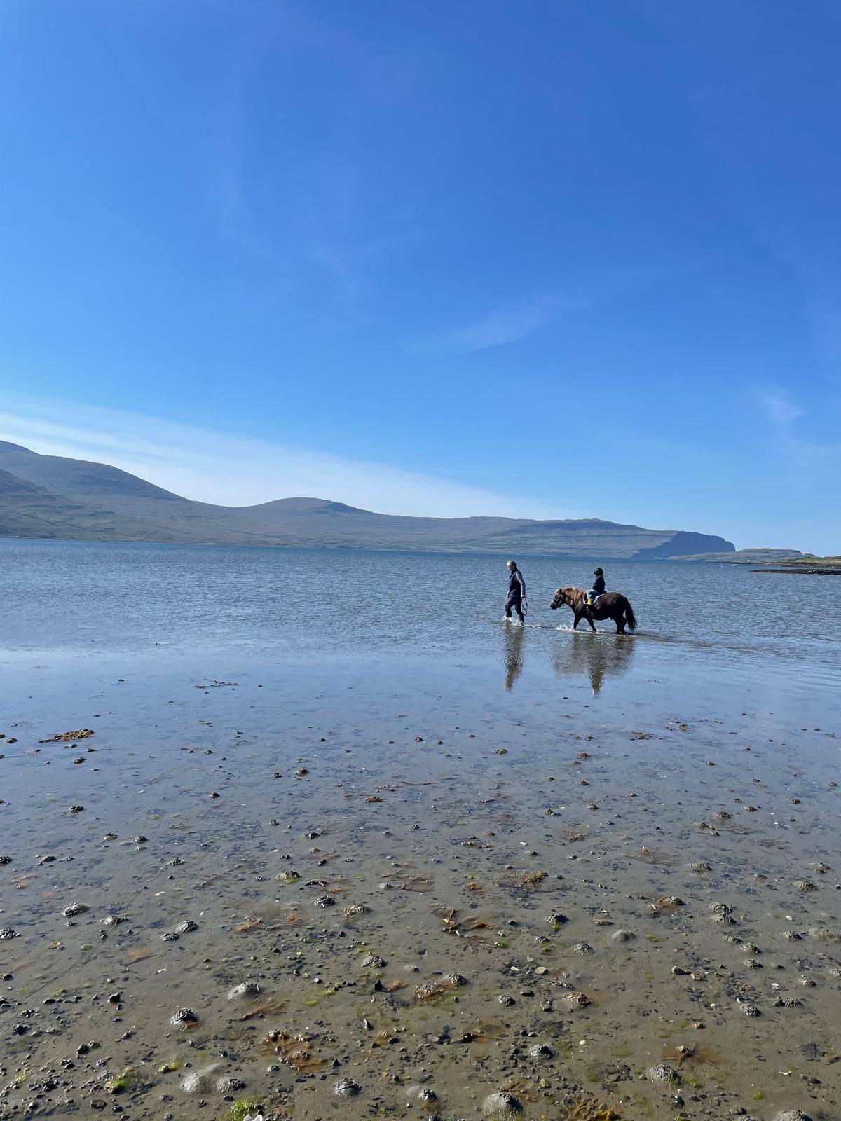Post cards from Harth: Isle of Mull