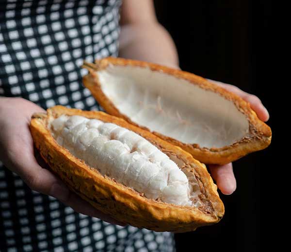 What Is Unalkalised Cocoa? (And Why It Matters) - Harth Chocolate
